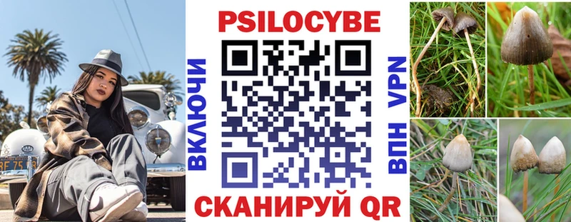 Галлюциногенные грибы прущие грибы  Шатура 